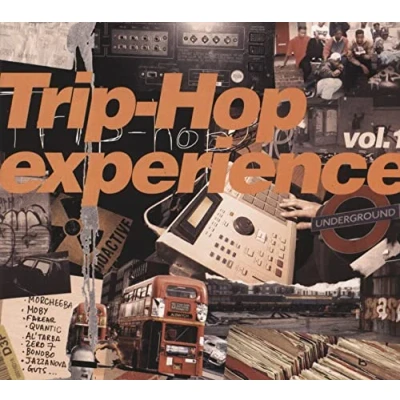 Afbeelding van Various Artists Trip Hop Experience Volume 1 (2 CD)