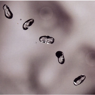 Afbeelding van Peter Gabriel Up (CD)