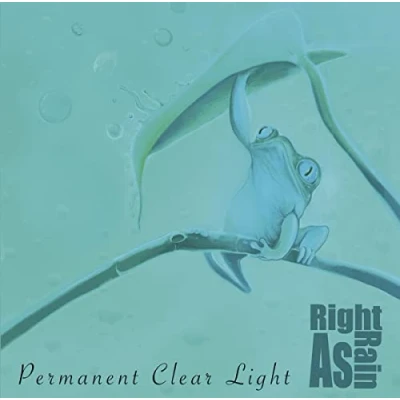 Afbeelding van Permanent Clear Light Right As Rain (LP)
