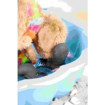 Afbeelding van CoolPets Ring o&#039;Ducky (Flamingo)