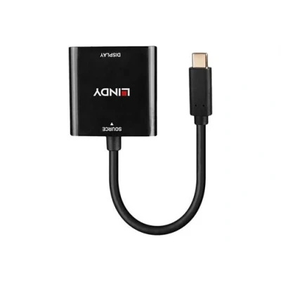 Image de Lindy Adaptateur vidéo 24 pin USB C (M) pour DisplayPort (F) 1.4 21 cm noir