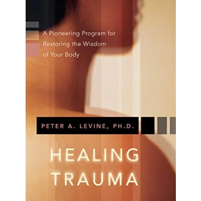 Afbeelding van Healing Trauma