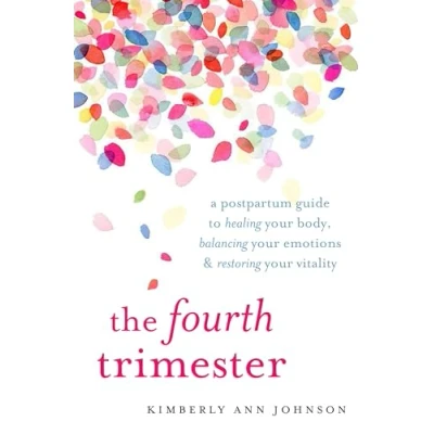 Afbeelding van The Fourth Trimester