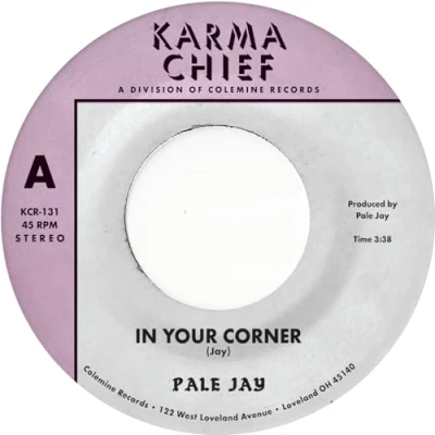 Afbeelding van Pale Jay In Your Corner (Single)