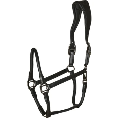 Image de Catago Licol en Cuir Marin Cob