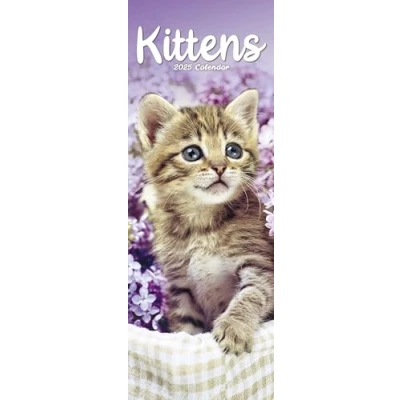 Afbeelding van Kittens Slimline Kalender 2025
