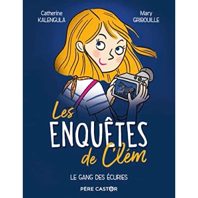 Afbeelding van Les enquetes de clem le gang des ecuries