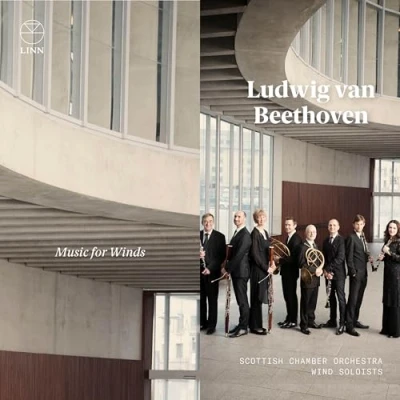 Afbeelding van Scottish Chamber Orchestra Wind Soloists Beethoven: Music For Winds (CD)