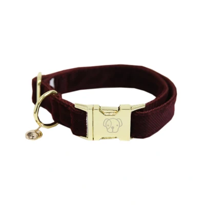 Image de Kentucky Collier Corduroy Bordeaux 42 68cm