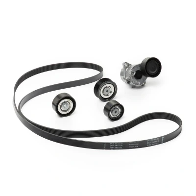 Afbeelding van Poly V riem set INA 529 0361 10