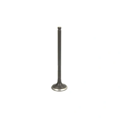 Afbeelding van FRECCIA R6440/RNT Uitlaatklep 23,6 Klepsteel met nitraat verzien