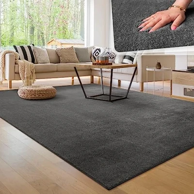 Afbeelding van Paco Home Tapijt voor woonkamer Eenkleurig Wasbaar Zacht kortstondig pooltje 100x200 cm