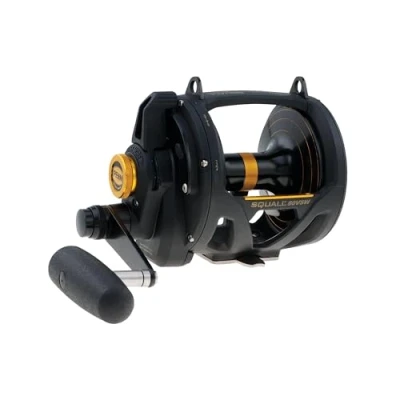 Afbeelding van PENN Squall Lever Drag 2 Speed 50VSW Reel