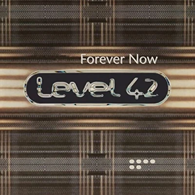 Afbeelding van Forever Now