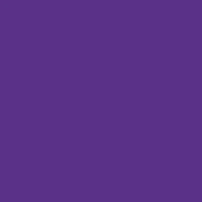 Afbeelding van plottiX Perm. Vinylfolie, 31,5 cm x 1 m, paars