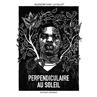Afbeelding van Perpendiculaire au soleil