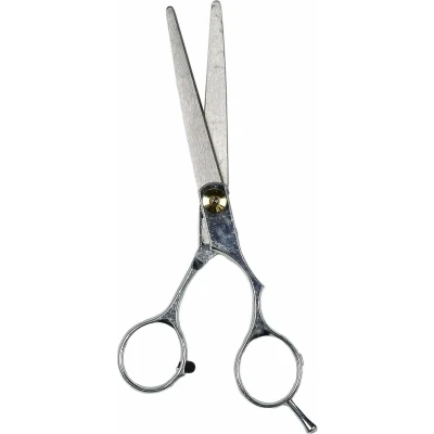 Afbeelding van Benson Kappersschaar 15 cm RVS 3Cr13 Professioneel