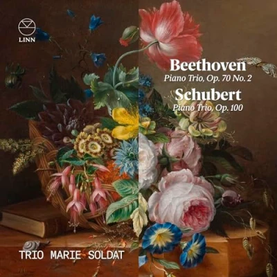 Afbeelding van Trio Marie Soldat Beethoven: Piano Trio, Op. 70 No. 2 &amp; Schubert: Pi (CD)