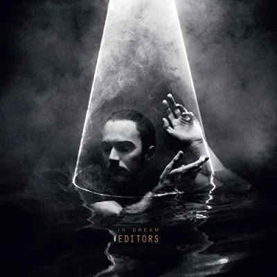 Afbeelding van Editors In Dream (LP)