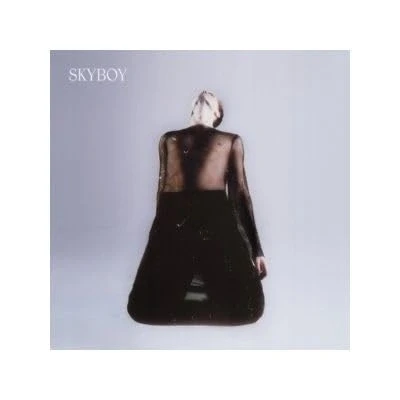 Afbeelding van Duncan Laurence Skyboy (LP)