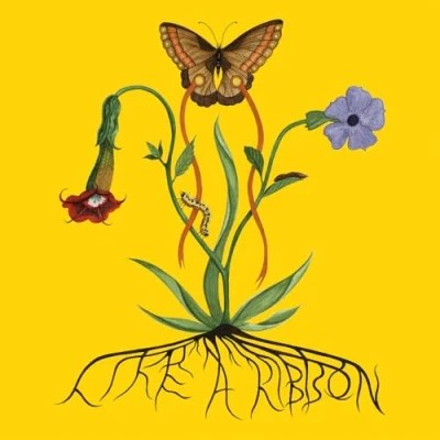 Afbeelding van John Glacier Like a Ribbon (LP)