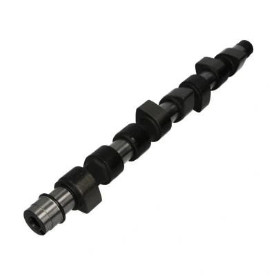 Afbeelding van Ae Nokkenas CAM654