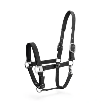 Image de Mrs. Ros Ensemble licou Festive Noir Cob