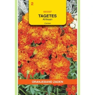 Afbeelding van Tagetes afrikaan carmen