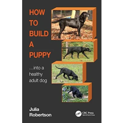 Afbeelding van How to Build a Puppy