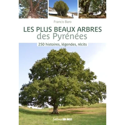 Image de Les plus beaux arbres des Pyrénées