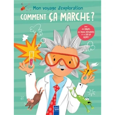 Afbeelding van COMMENT CA MARCHE