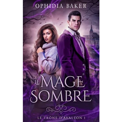 Image de Le mage sombre, Trône d&#039;Avallon tome 1