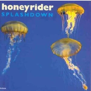 Afbeelding van Splashdown