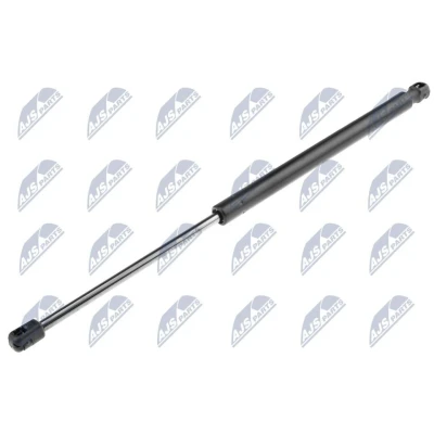 Afbeelding van NTY AE MZ 013 Gasveer achterklep 450 495