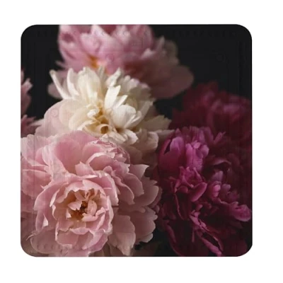 Afbeelding van Kleine Wolke Antislip douchemat Rosemarie brd 55x55cm