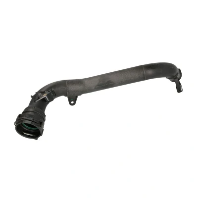 Afbeelding van THERMOTEC DC1108TT Laadluchtslang NISSAN: Juke, NV200 / Evalia Minibus