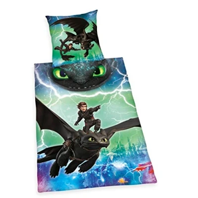 Image de Herding DREAMWORKS DRAGONS Parure de lit réversible en coton renforcé avec housse couette 140 x 200 cm et taie d&#039;oreiller 70 90