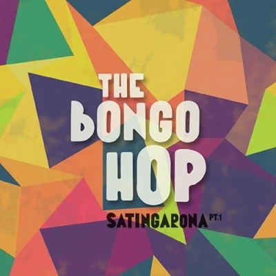 Afbeelding van The Bongo Hop Satingarona Part 1 (LP) (Anniversary Edition)