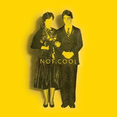 Afbeelding van Tim Easton Not Cool (CD)