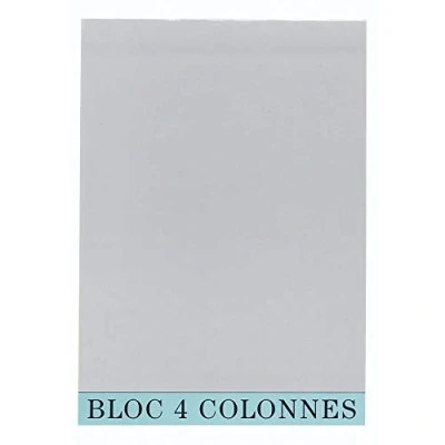 Image de Bloc de contrôle comptable 4 colonnes Exacompta 5704E