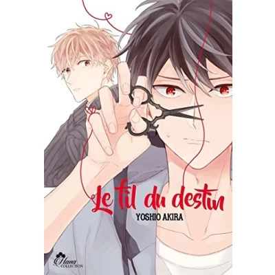 Afbeelding van Le Fil du Destin The Red String of Fate