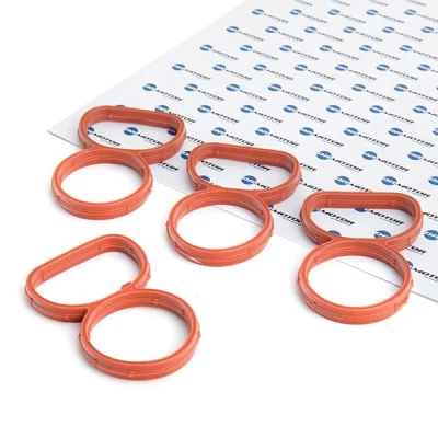 Afbeelding van Pakkingset, inlaatspruitstuk Dr.Motor Automotive DRM0111S