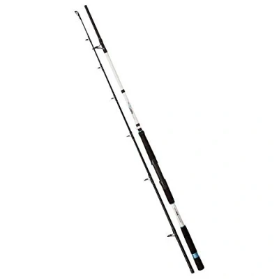 Afbeelding van Boothengel Zebco Great White 2.20m 100 350gr