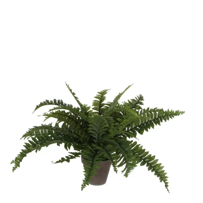 Afbeelding van Boston Varen Kunstplant in Bloempot Stan H42 x Ø50 cm Groen