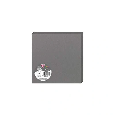 Image de Paquet de 25 cartes pliées Pollen 160x160mm Gris Acier 210g