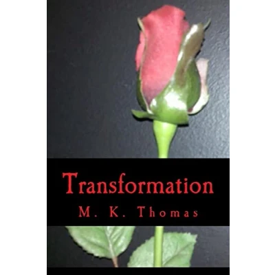 Afbeelding van Transformation