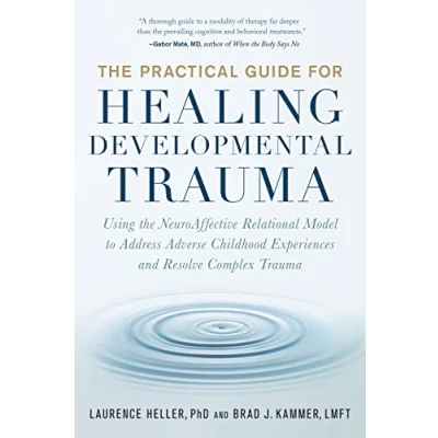 Afbeelding van The Practical Guide for Healing Developmental Trauma