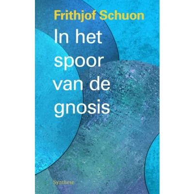 Image de In het spoor van de gnosis