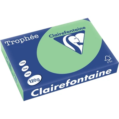 Afbeelding van Clairefontaine Trophée Pastel, gekleurd papier, A4, 120 g, 250 vel, natuurgroen