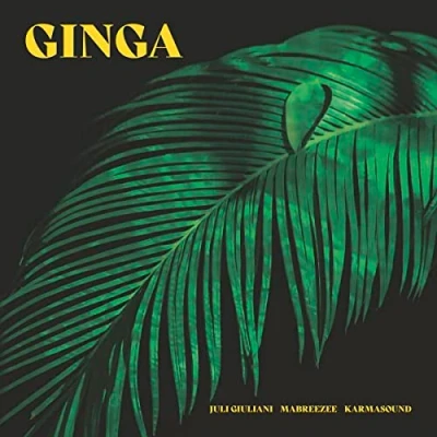Afbeelding van Ginga